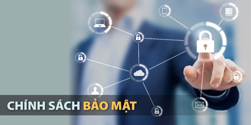 Khám phá hệ thống bảo vệ