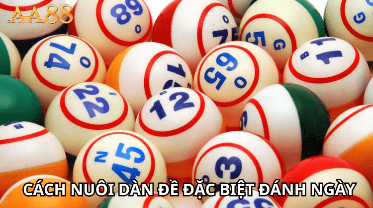 Cách nuôi dàn đề đặc biệt đánh ngày