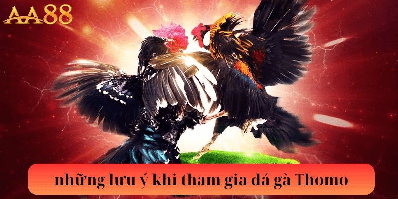những lưu ý khi tham gia đá gà Thomo