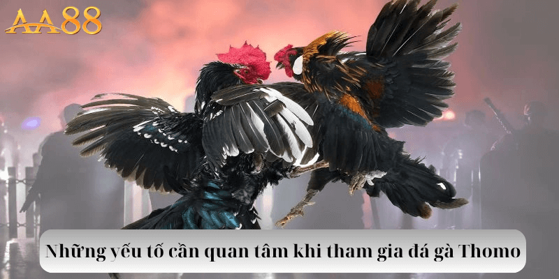 Những yếu tố cần quan tâm khi tham gia đá gà Thomo