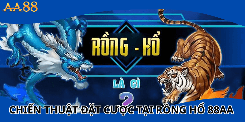 Chiến thuật đặt cược trong Rồng Hổ 88aa